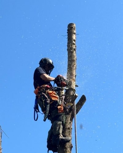 d85d7adf-8e5a-43f6-88b9-207cefd5a0d4